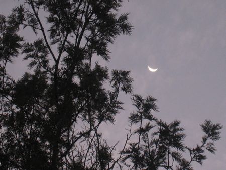 20moon