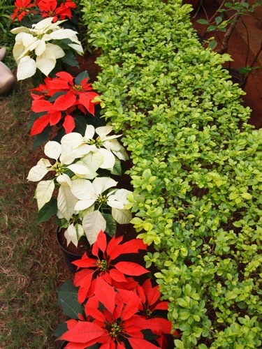 20101208122239_0