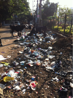 Trash trail 02
