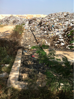 Trash trail 07