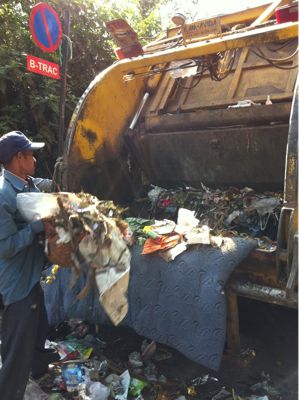 Trash trail 06