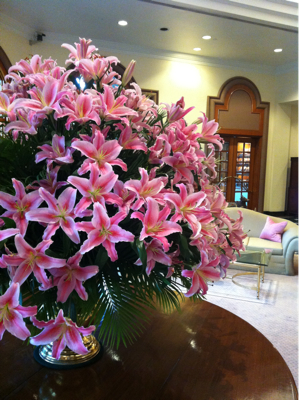 One of my favorite hotels