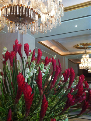 Coffee morning at the Leela Palace