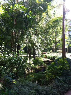 Coffee morning at the Leela Palace