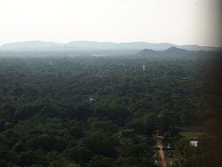 03sigiriya09