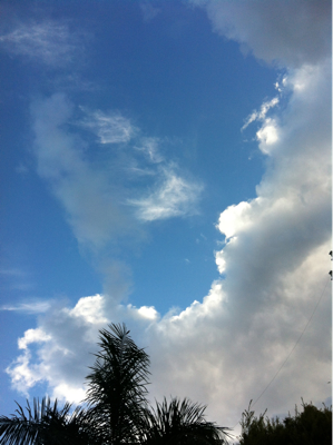 いい空だ。