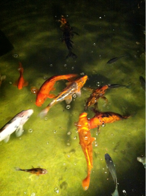 奇妙なカウントダウンのころ