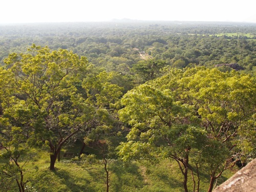 03sigiriya08