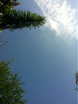 朝の空は。