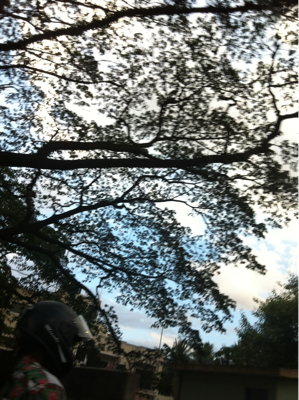 水が足りない。