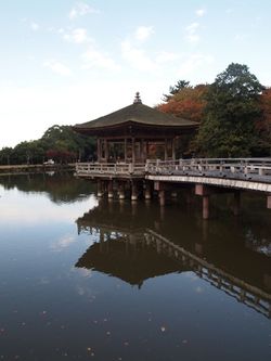 NARA02-17