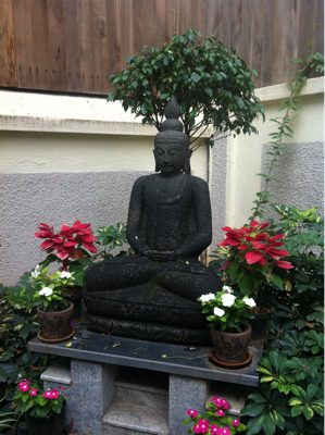 雨後の庭。