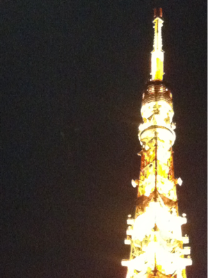 I love Tokyo Tower I love Tokyo Tower