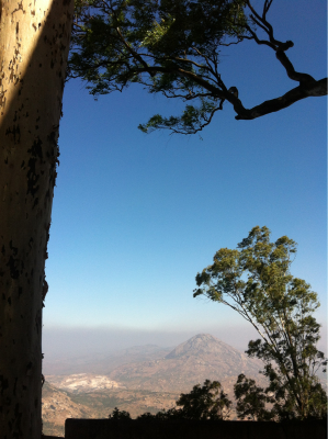 Great view!