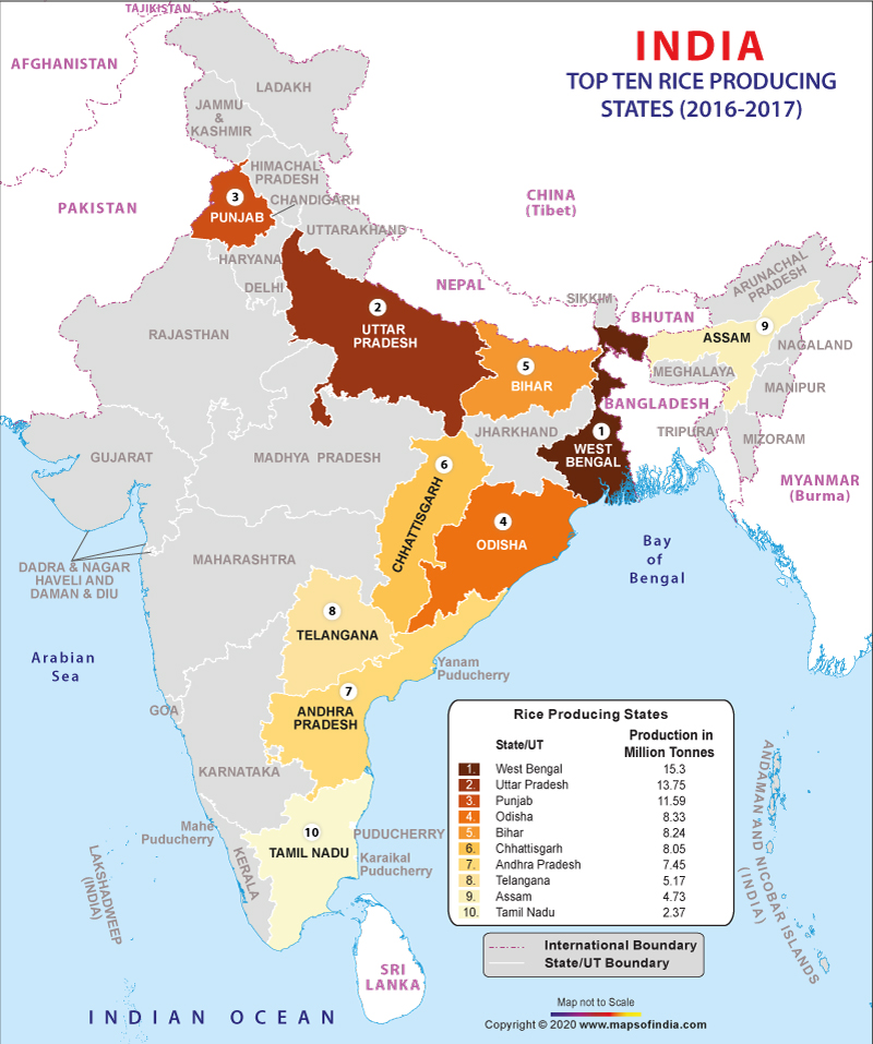 Top-10-rice-producing-states-of-india