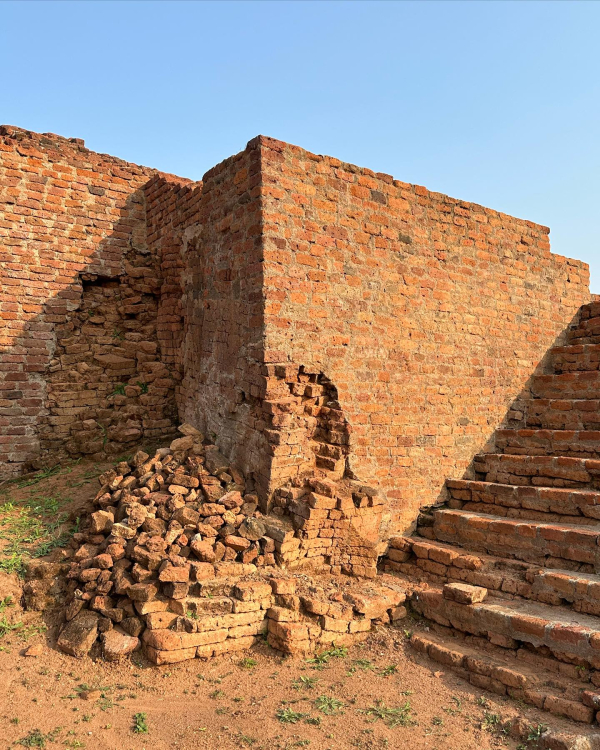 龍樹の遺跡の発見　インド、マンセル・ラームテク遺跡 龍樹の遺跡の発見: インド、マンセル・ラームテク遺跡 | アニル