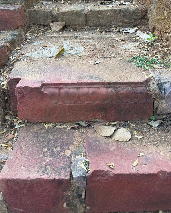 龍樹の遺跡の発見　インド、マンセル・ラームテク遺跡 龍樹の遺跡の発見 インド、マンセル・ラームテク遺跡 龍樹の遺跡