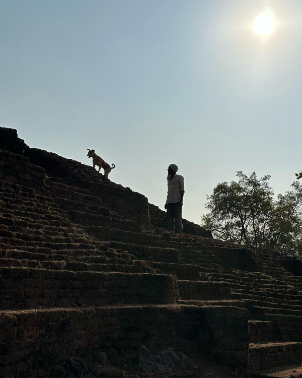 龍樹の遺跡の発見: インド、マンセル・ラームテク遺跡 | アニル