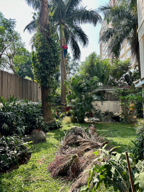 Home6