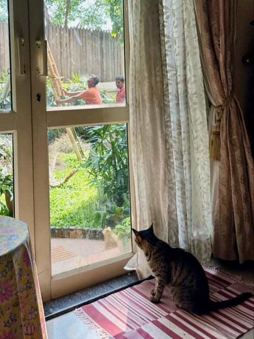Home5