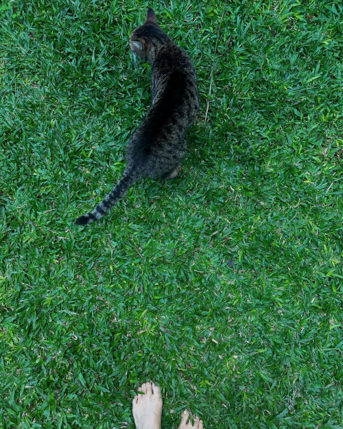 Q2