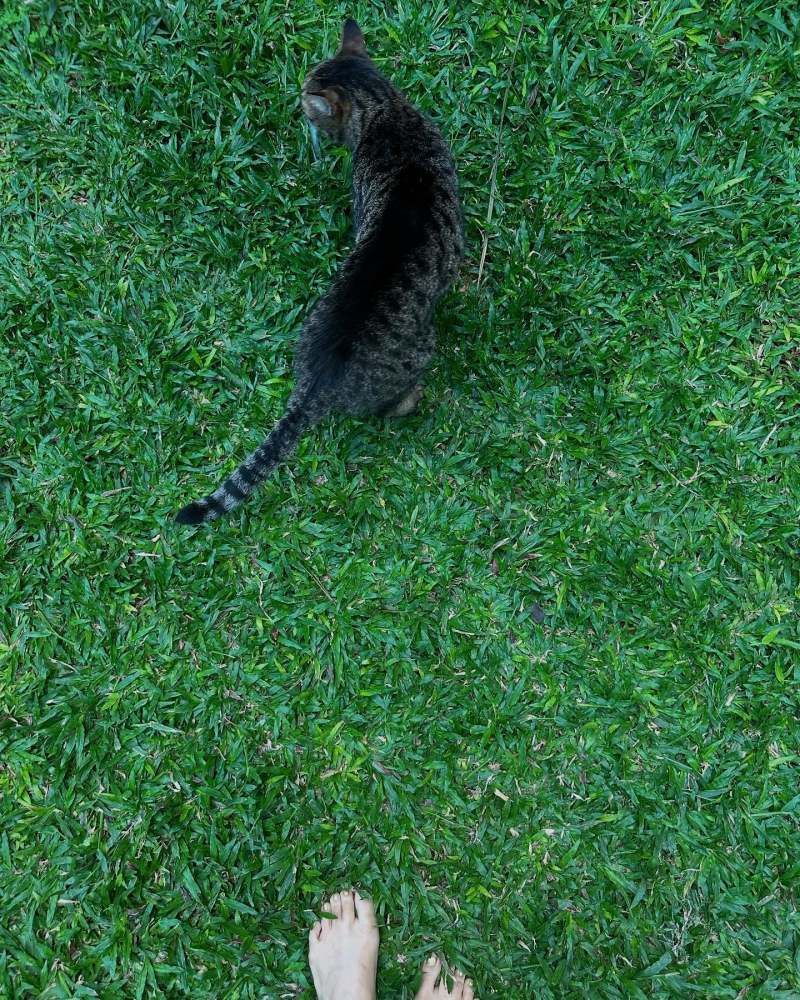 Q2